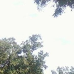 Meet your Posher, Humera